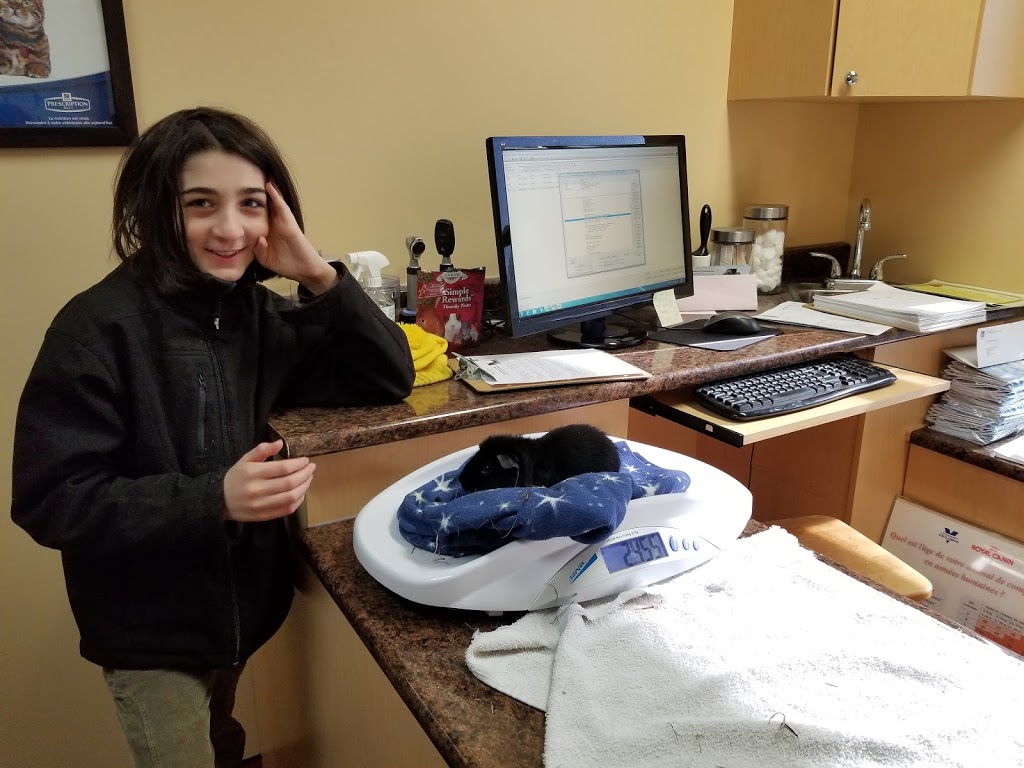 Hôpital Vétérinaire Le Gardeur Inc. | 413 Rue Saint Paul, Repentigny, QC J5Z 2H9, Canada | Phone: (450) 585-1542