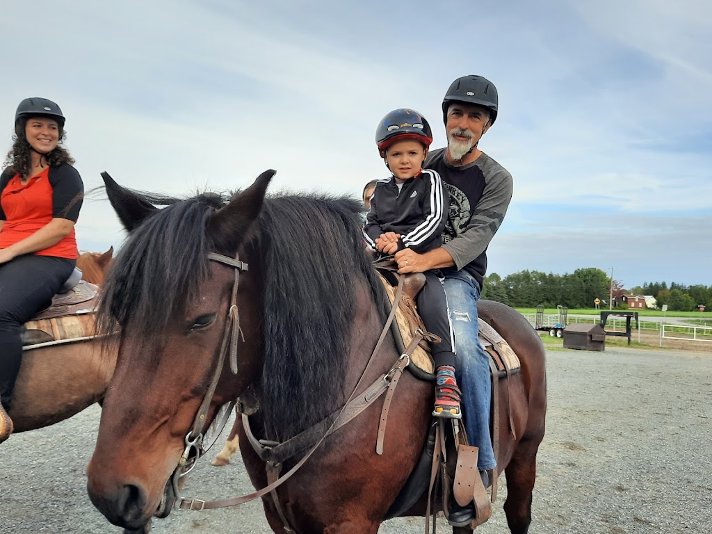 Centre Equestre Des Sables | 571 Chem. des Sables O, Pintendre, QC G6C 1B6, Canada | Phone: (418) 837-7185