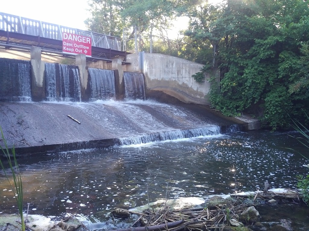 Palgrave Forest and Wildlife Area Palgrave, ON L0N 1P0, Canada
