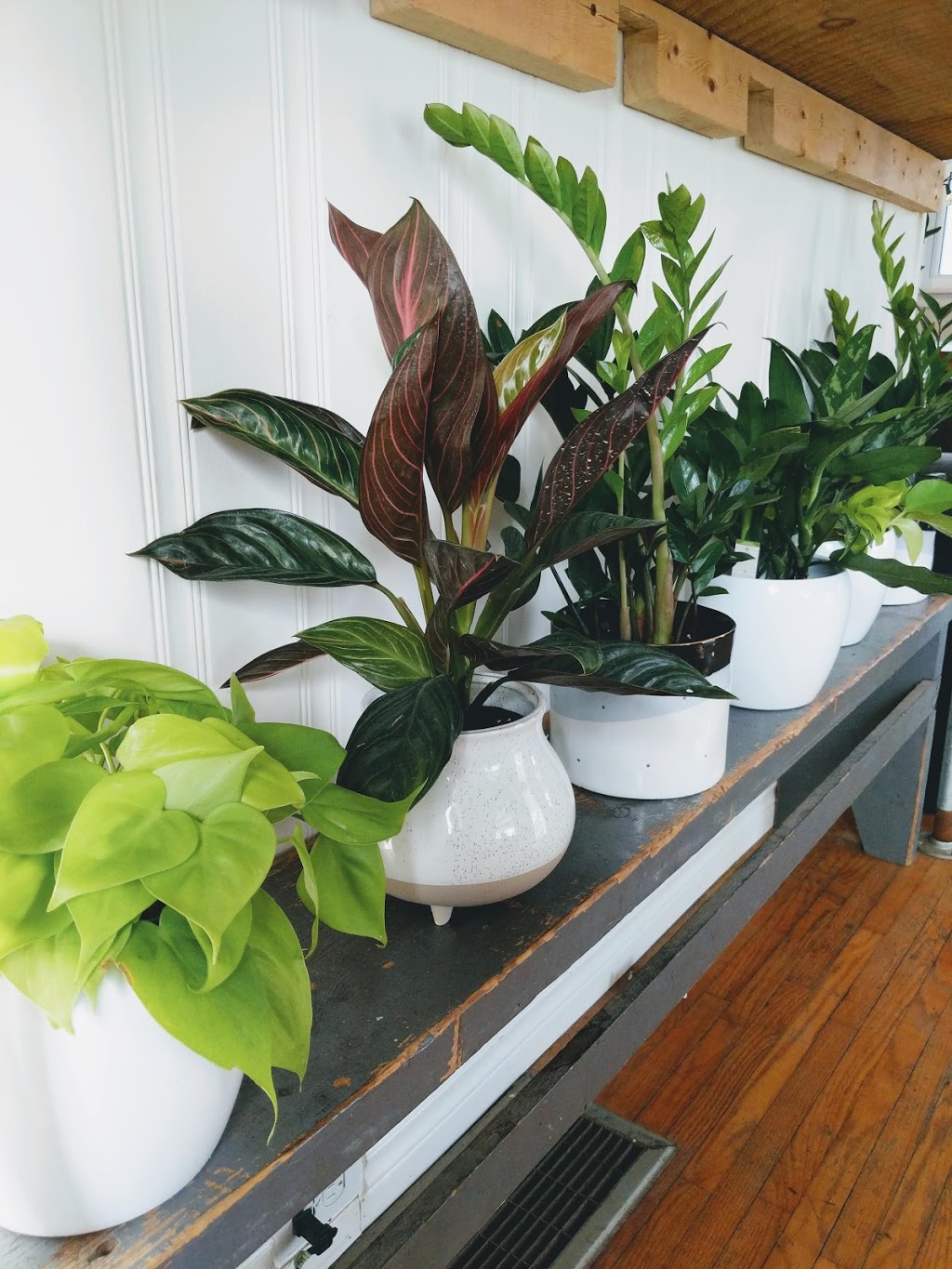 Rooted Connection | Bradford Rd, South Frontenac, ON K0H 1V0, Canada | Phone: (613) 985-4457