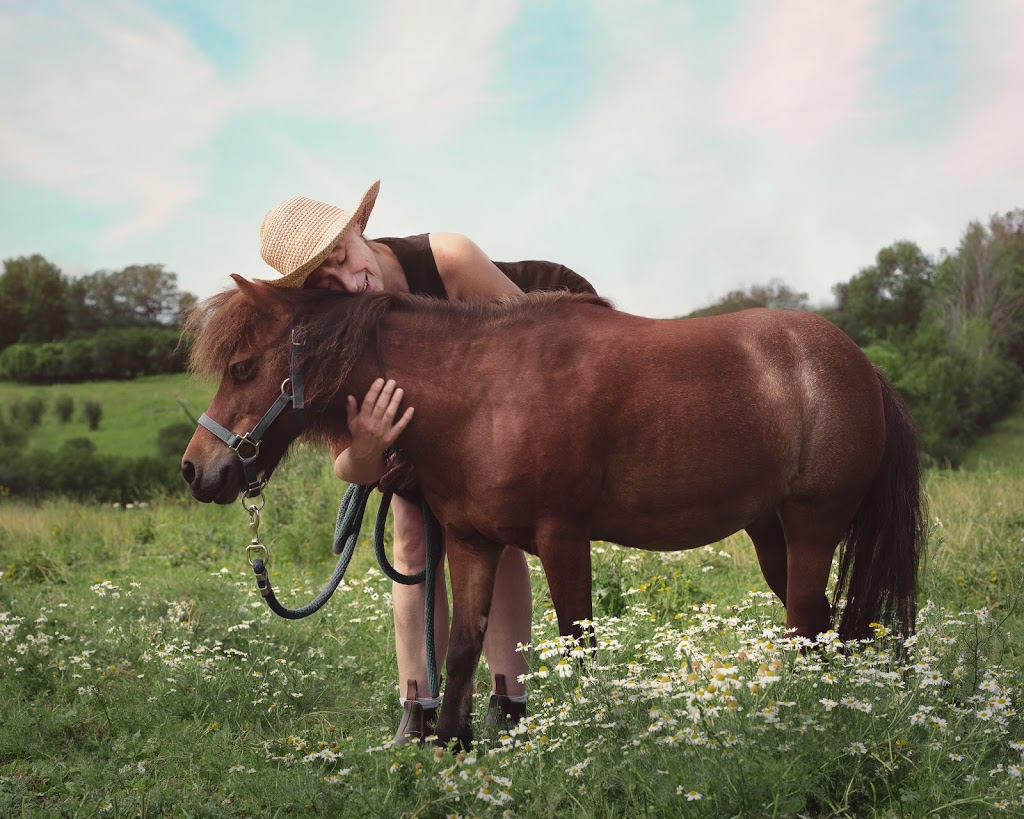 Harmony Farm Rice Lake | 245 Hannah Rd, Bailieboro, ON K0L 1B0, Canada | Phone: (705) 957-1678