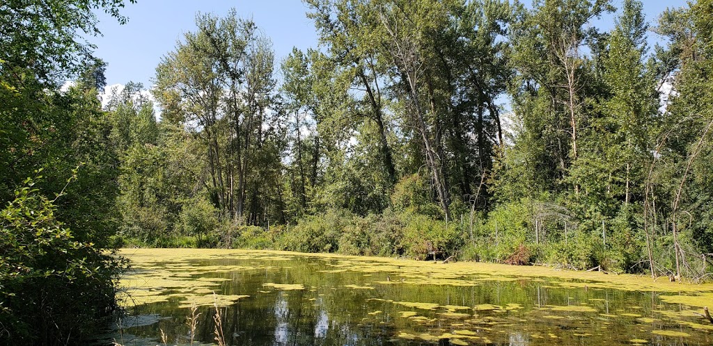 Mission Creek Greenway | South Pandosy - K.L.O., Kelowna, BC V1W 1V3, Canada | Phone: (250) 763-4918