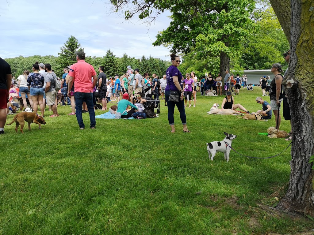 Pawlooza | 9282 Elviage Dr, London, ON N6K 4N5, Canada | Phone: (519) 439-0352