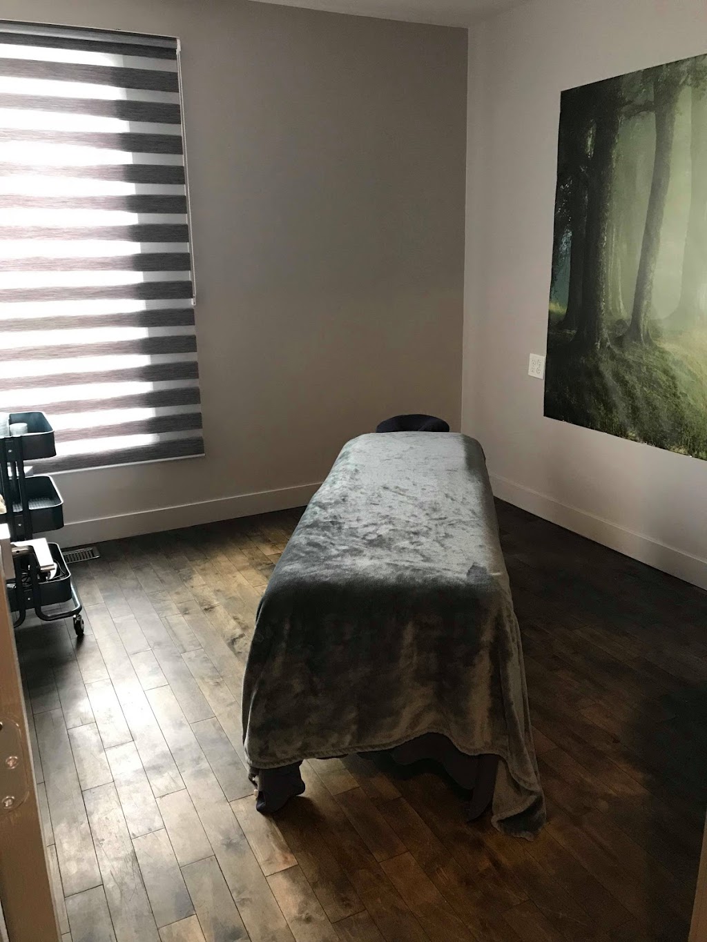 Clinique Confort Masso/Kinésithérapie, Orthothérapie, Thérapie d | 746 Rue Saint-Pierre, Drummondville, QC J2C 3X1, Canada | Phone: (819) 313-2794