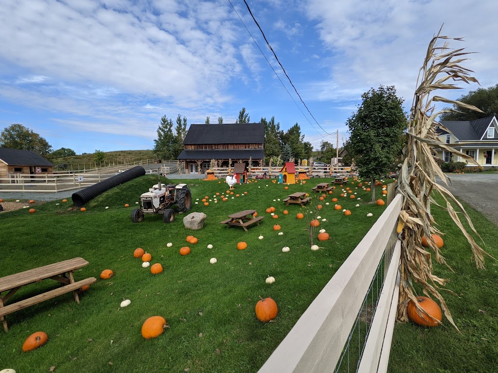 Plantations Stéphan Perreault | 331 QC-143, Val-Joli, QC J1S 0C1, Canada | Phone: (819) 845-1160