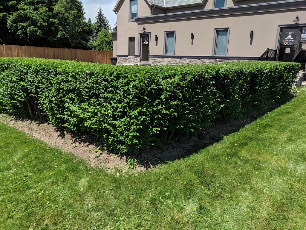 Vida Landscape Solutions | 4585 Palladium Way Unit 3049, Burlington, ON L7M 0W9, Canada | Phone: (905) 531-1945