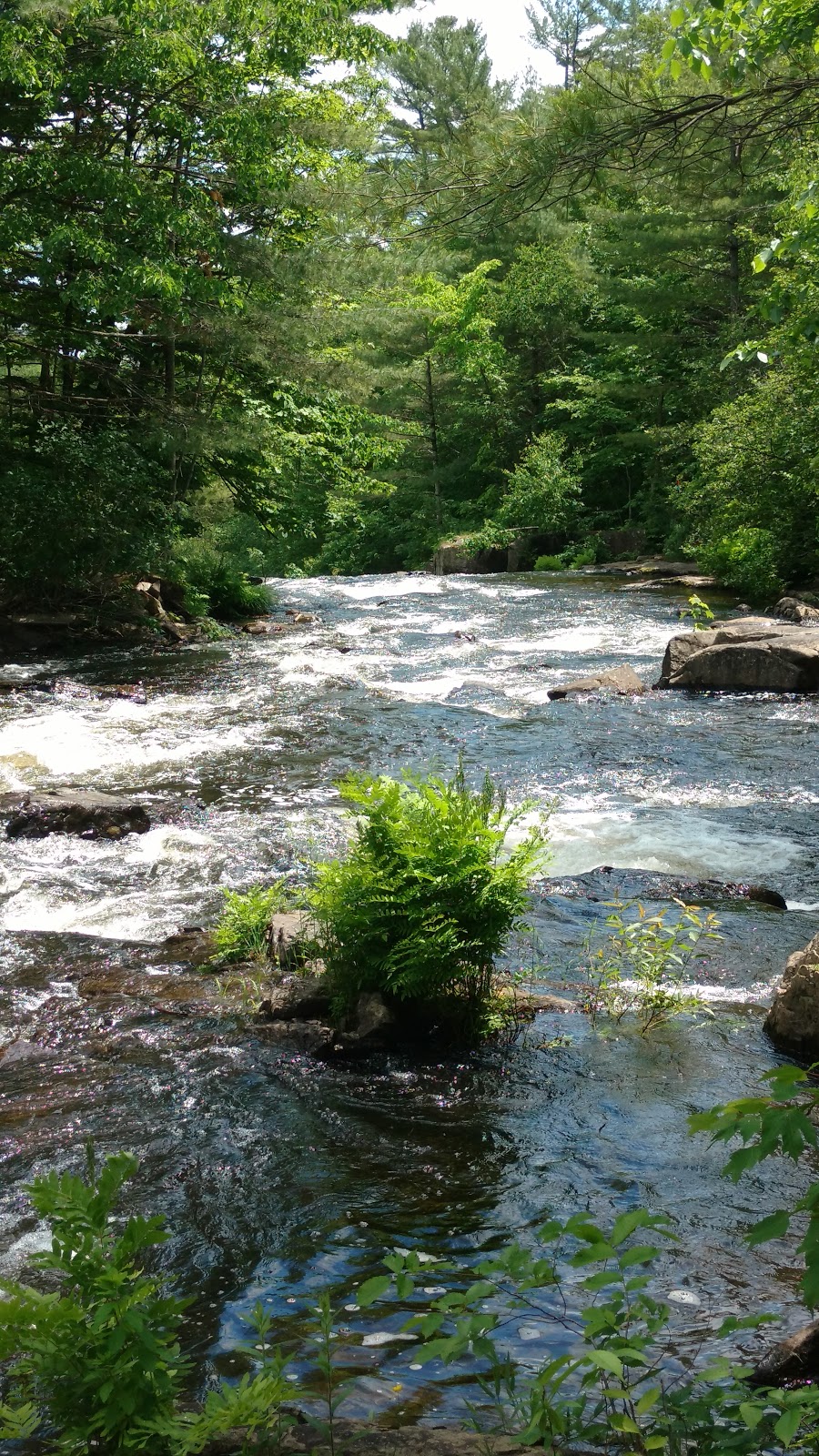 Chutes Mason | Rawdon, QC J0K 1S0, Canada