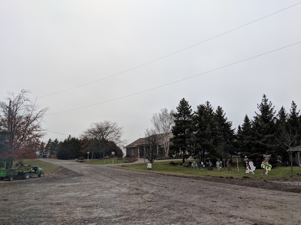 Twinkle Trees | 3906 Mountain Street Opposite, Albright Gardens, Beamsville, ON L0R 1B0, Canada | Phone: (416) 545-7245
