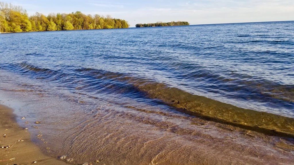 McRae Point Provincial Park | 4366 McRae Park Rd, Longford Mills, ON L0K 1L0, Canada | Phone: (705) 325-7290