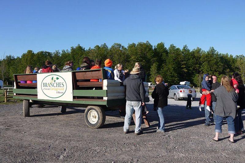 Branches of Niagara Campground & Resort | 2659 Whitehaven Rd, Grand Island, NY 14072, USA | Phone: (716) 773-7600