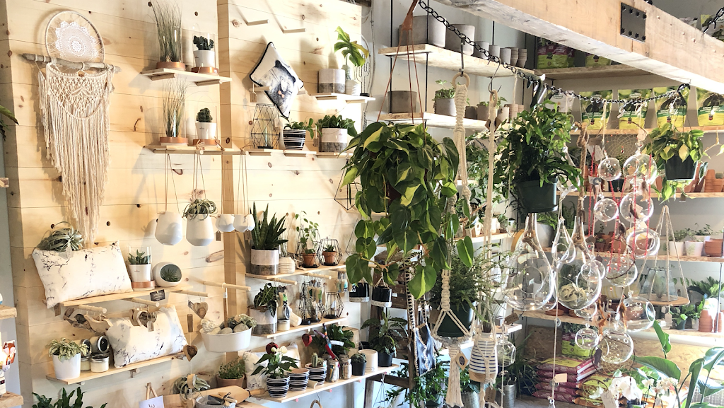 Maison Forêt | 1413 Rue de la Sapinière, Val-David, QC J0T 2N0, Canada | Phone: (438) 868-9801