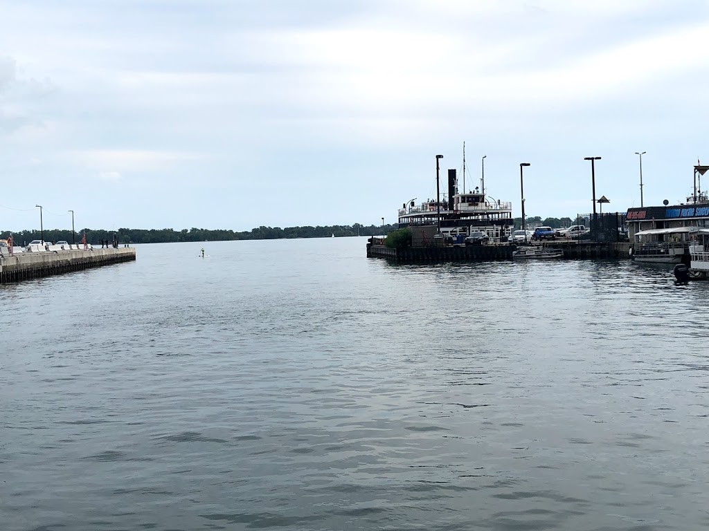 Water Taxi Now - The Pirate Taxi - Harbourfront Centre Location | 235 Queens Quay W, Toronto, ON M5J 2G8, Canada | Phone: (416) 838-8294