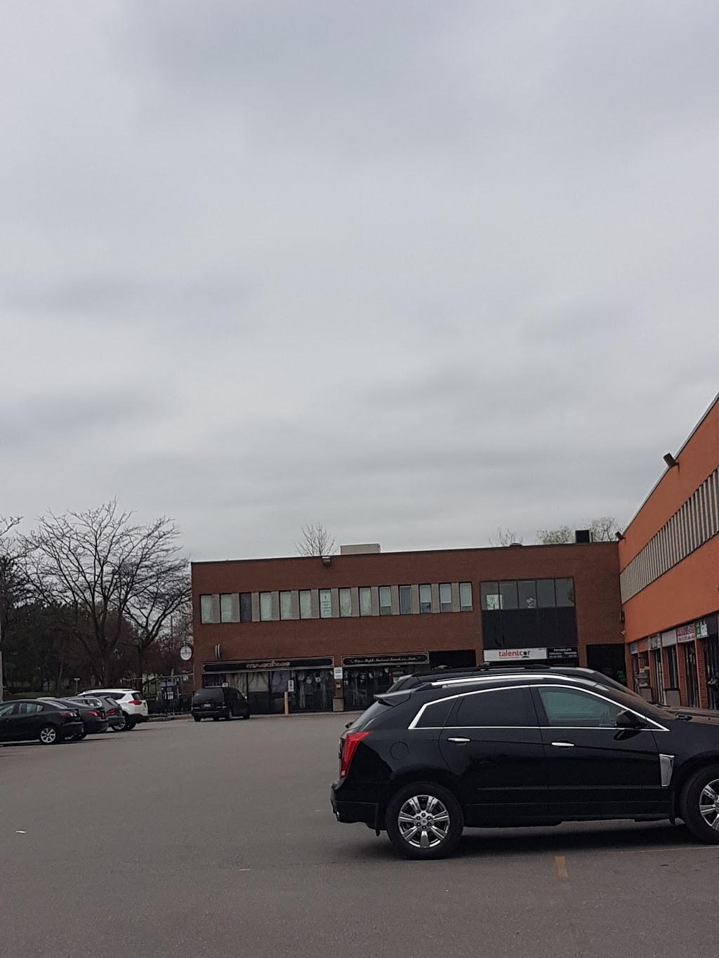 Scotiabank | 284 Queen St E, Brampton, ON L6V 1C2, Canada | Phone: (905) 453-7602