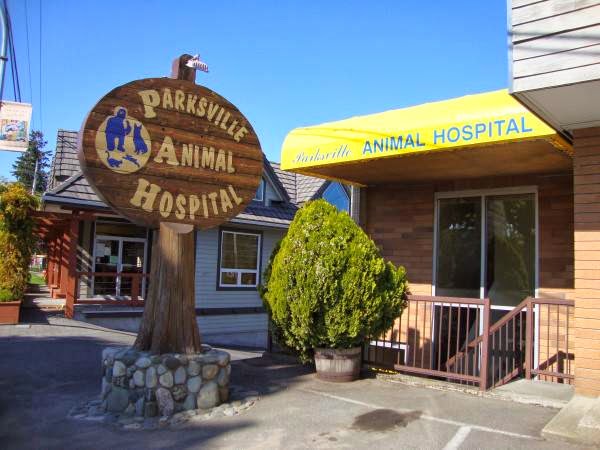 Parksville Animal Hospital | 255 Island Hwy E, Parksville, BC V9P 2G3, Canada | Phone: (250) 248-8318