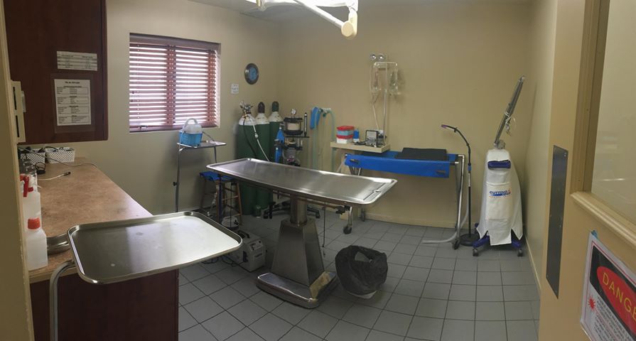 Clinique Vétérinaire Mont-Tremblant | 1290 Rue Groulx, Mont-Tremblant, QC J8E 3B8, Canada | Phone: (819) 425-9855