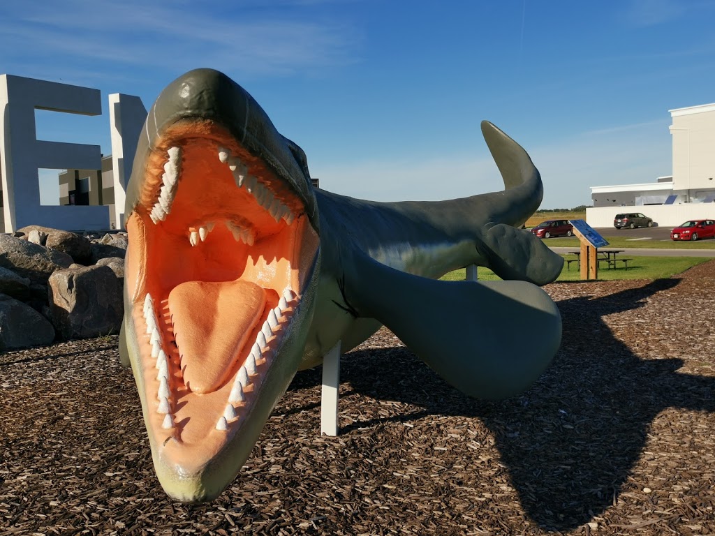 Bruce The Mosasaur | Morden, MB R6M 1P4, Canada | Phone: (204) 822-4434