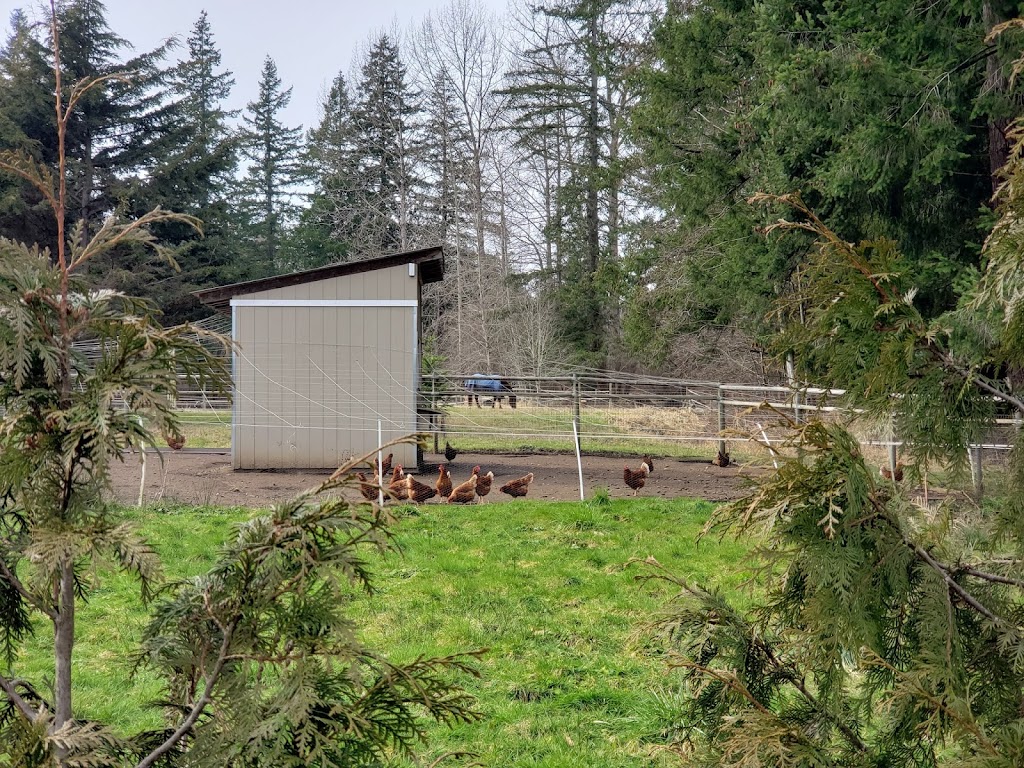 One Spot Trail | 3388 Cessford Rd, Courtenay, BC V9J 1R6, Canada | Phone: (250) 334-6000