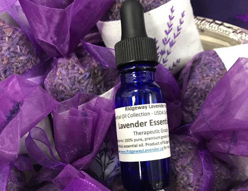 Ridgeway Lavender | 200 Mathews Rd S, Ridgeway, ON L0S 1R0, Canada | Phone: (289) 969-1717