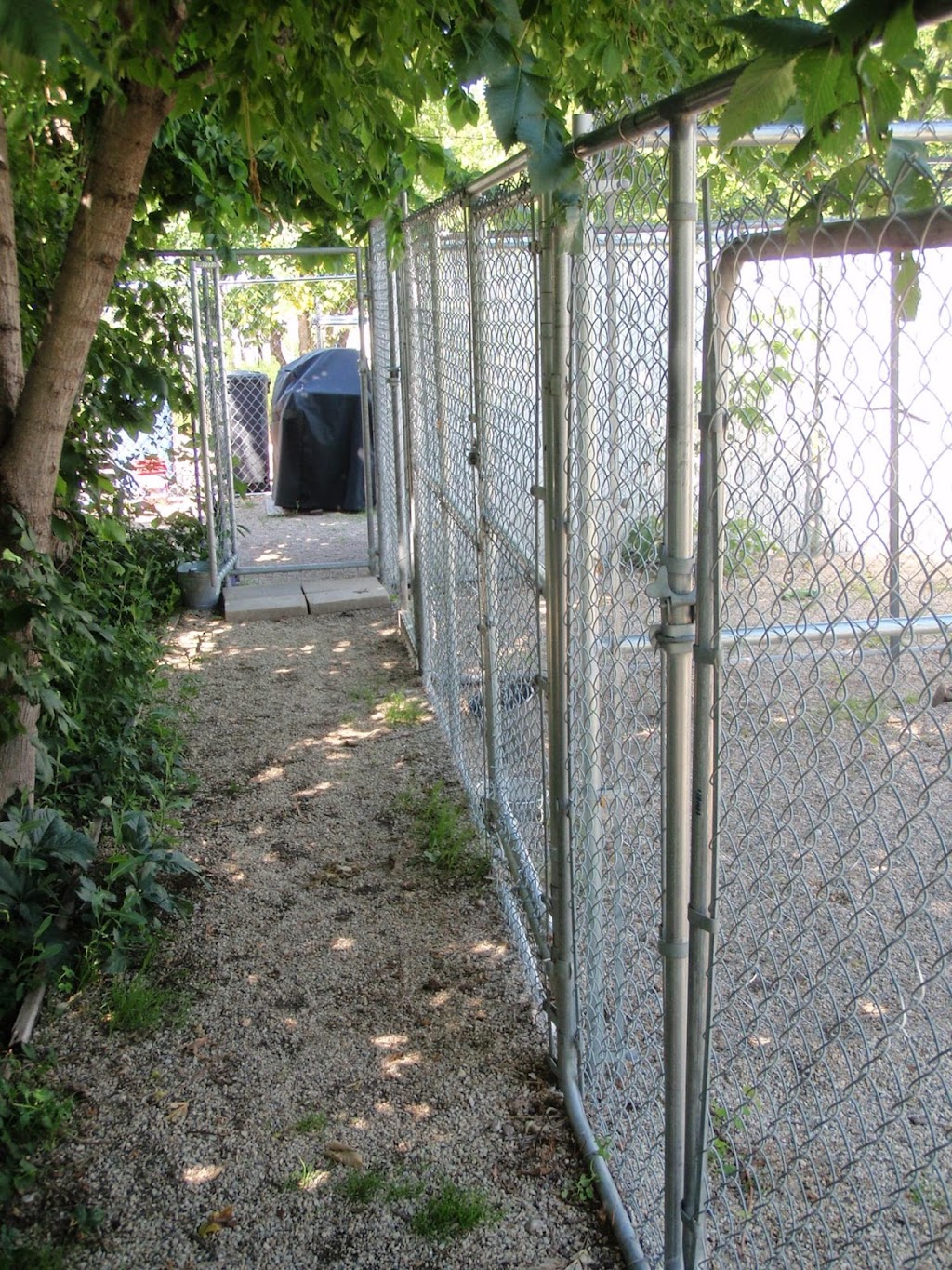 V I P Kennels | 1931 St Annes Rd, Winnipeg, MB R2N 4K2, Canada | Phone: (204) 255-3647