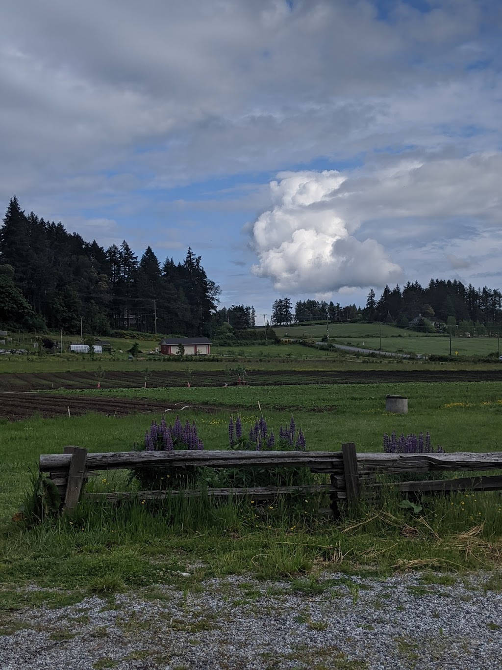 Hayward Farms | 765 Kilmalu Rd, Mill Bay, BC V0R 2P2, Canada | Phone: (250) 419-2458