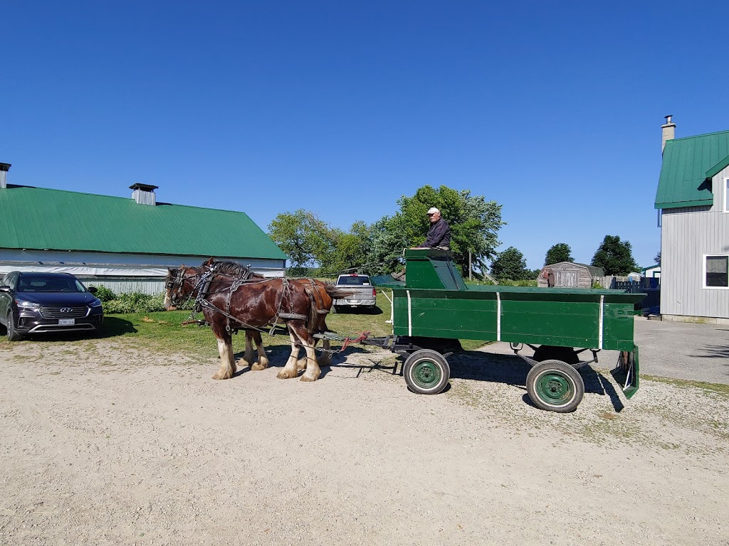 Farhope Farms | Huron Township Concession 12, Ripley, ON N0G 2R0, Canada | Phone: (519) 525-0552