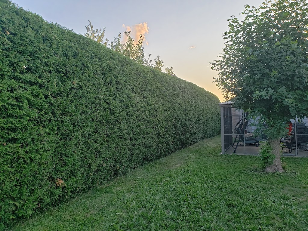 Entretiens paysager les ptits bonheurs de Jane | 3500 Rue Paul, Terrebonne, QC J6Y 1A9, Canada | Phone: (438) 808-7200