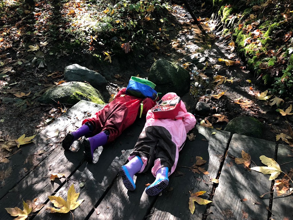Woods and Waves Outdoor Learning | 1440 Discovery St, Vancouver, BC V6R 4K5, Canada | Phone: (778) 929-5761
