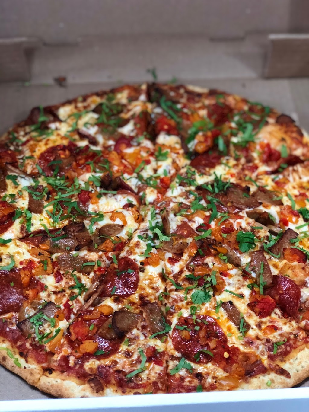 Pizza Hub | 2965 Islington Ave #1, North York, ON M9L 2K8, Canada | Phone: (416) 741-1991