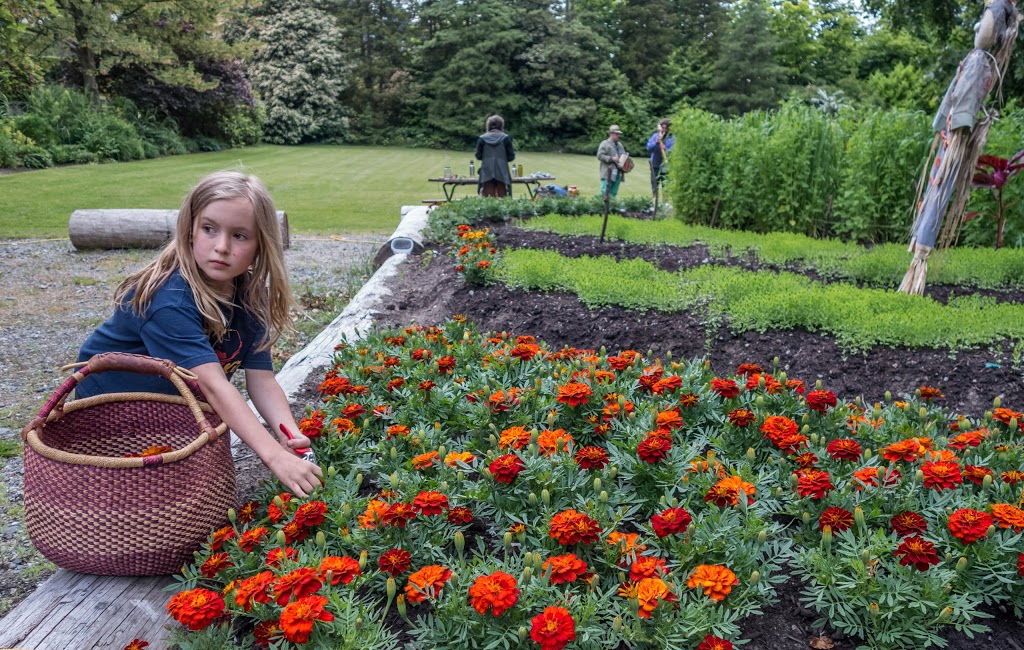 Aberthau Mansion | 4397 W 2nd Ave, Vancouver, BC V6R 1K4, Canada | Phone: (604) 257-8140