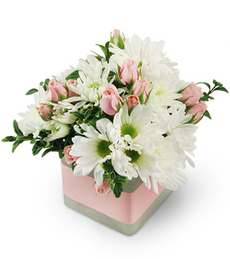 Petals and Pots Flower and Gift Shop | 725 Ottawa St S, Kitchener, ON N2E 3H5, Canada | Phone: (519) 742-7221