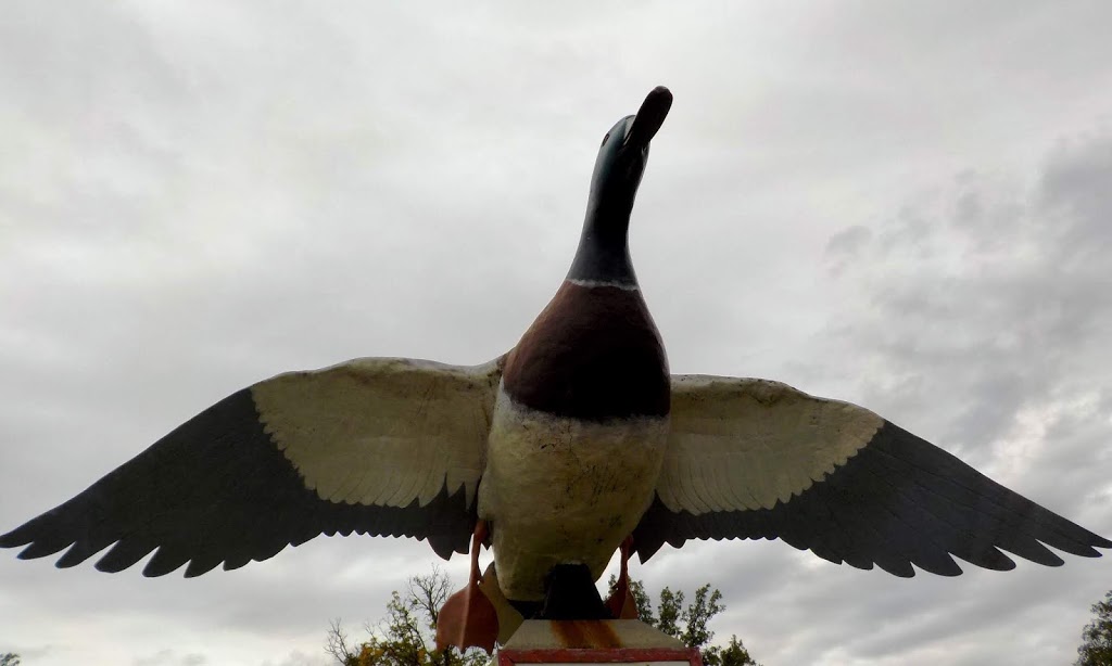 Petersfield Mallard Duck Statue | 8949 Provincial Trunk Hwy 9, Petersfield, MB R0C 2L0, Canada