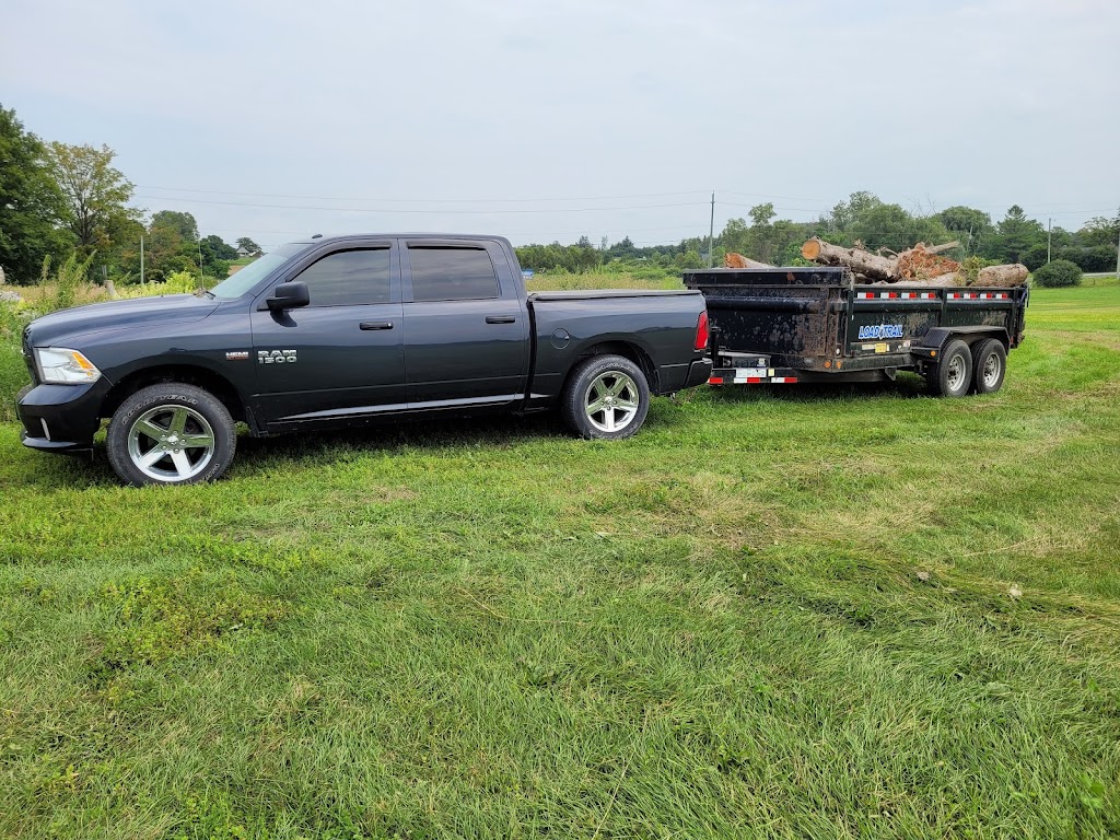 Honeyman Home And Garden | 1618 Chemong Rd, Peterborough, ON K9J 6X2, Canada | Phone: (705) 761-9909