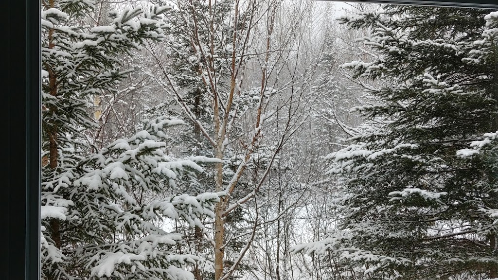 Chalet Néo-Rustique | Chemin Marthe-B.-Hogues, Petite-Rivière-Saint-François, QC G0A 2L0, Canada