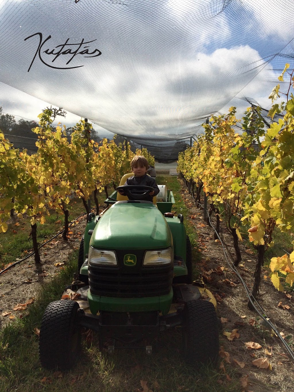 Kutatás Wines | 164 Norton Rd, Salt Spring Island, BC V8K 2P5, Canada | Phone: (250) 800-5552