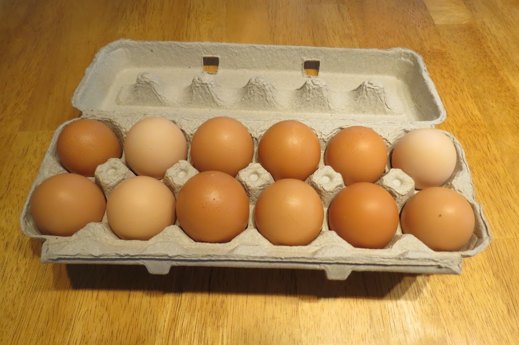 Ferme Rosa | 953 1e Rang, Val-Alain, QC G0S 3H0, Canada | Phone: (418) 744-1313