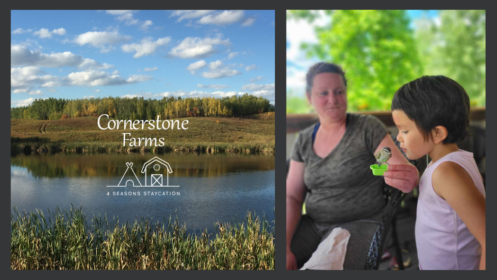 Cornerstone Farms | 20020 Township Road 512, AB T0B 4J1, Canada | Phone: (780) 662-3674