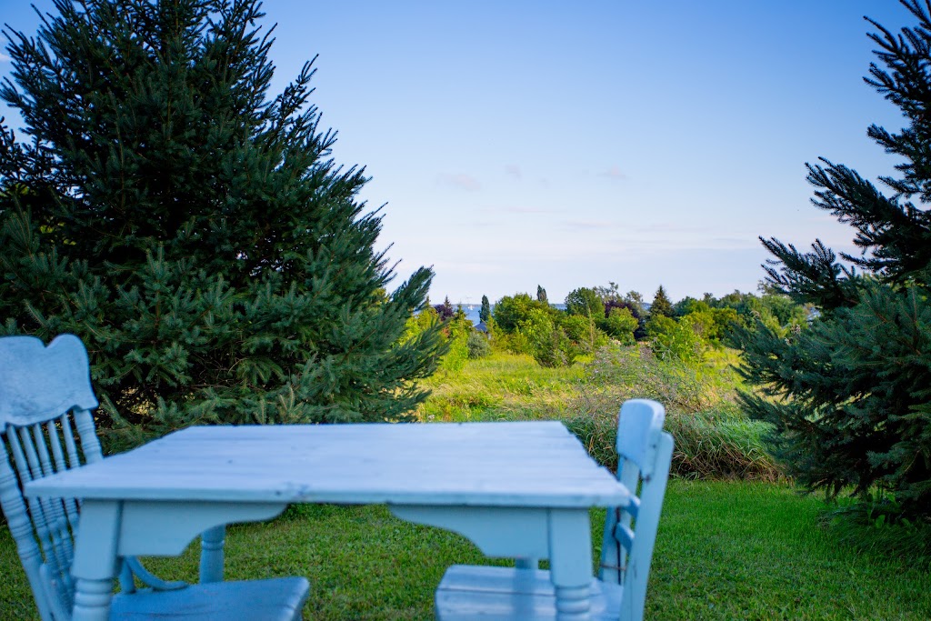 Torilds Barn | 556 Morrison Point Rd, Milford, ON K0K 2P0, Canada | Phone: (613) 476-8835