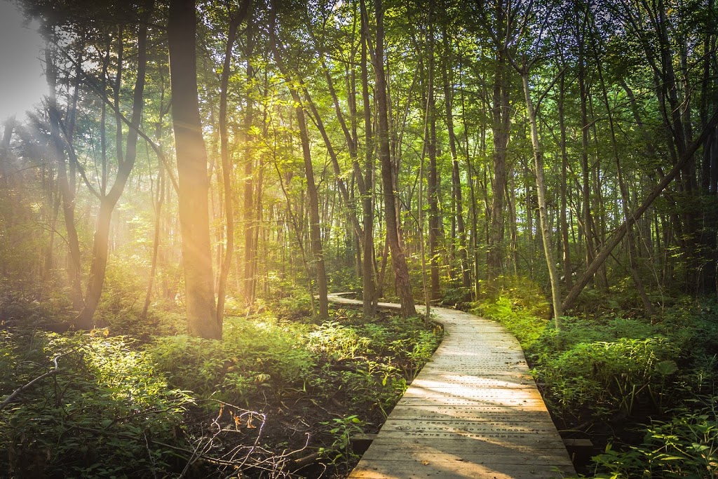 Pathway Psychology | 10009 85 Ave NW, Edmonton, AB T6E 2J9, Canada | Phone: (780) 655-3809