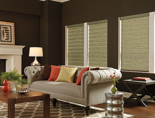 The Blind Men - Custom Window Coverings | 50 Diewold Bay, Balgonie, SK S0G 0E0, Canada | Phone: (306) 530-5177