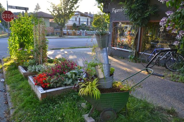 Figaros Garden | 1896 Victoria Dr, Vancouver, BC V5N 4K2, Canada | Phone: (604) 253-1696