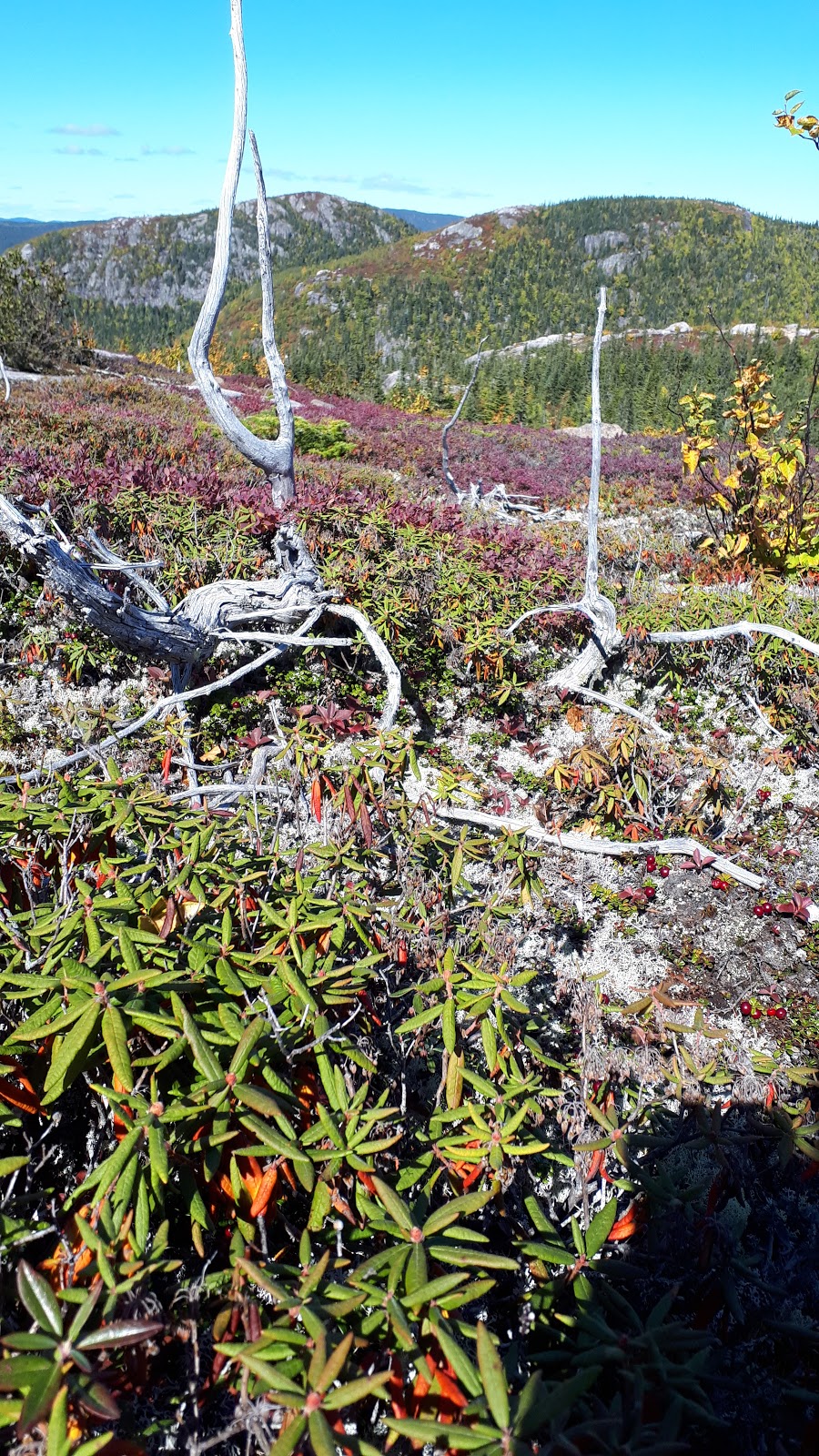 Grands-Jardins - Secteur Thomas-Fortin National Park | QC-381, Saint-Urbain, QC G0A 4K0, Canada | Phone: (418) 439-1227