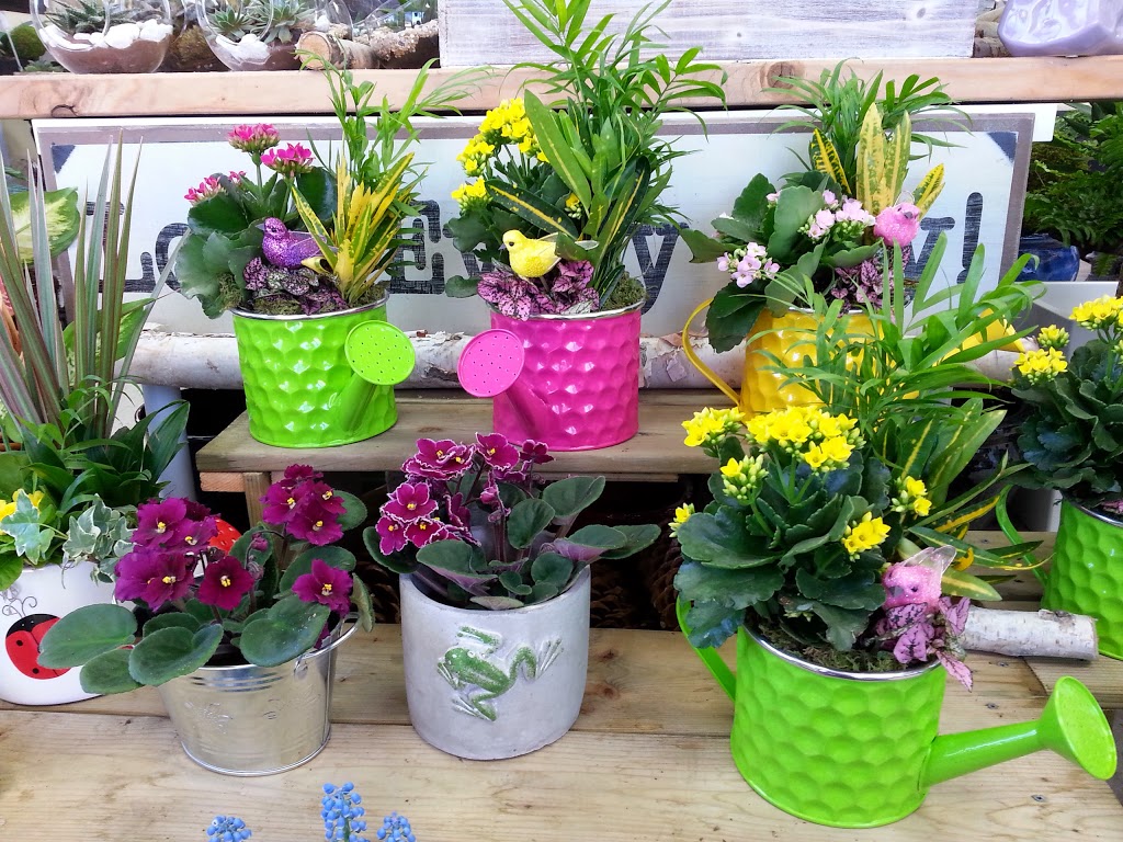 Bronte Flowers & Gifts | 2464 Lakeshore Rd W Unit 5, Oakville, ON L6L 1H8, Canada | Phone: (905) 825-8988