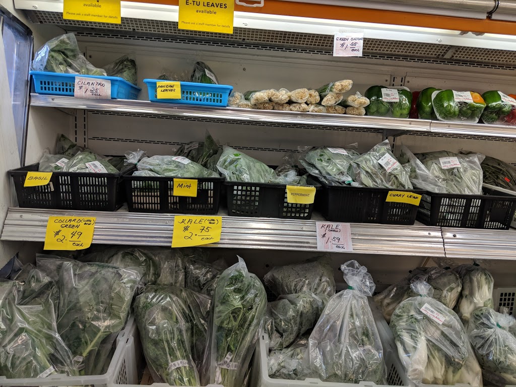 Dong Thai Ltd | 459 Notre Dame Ave, Winnipeg, MB R3B 1R1, Canada | Phone: (204) 943-9868