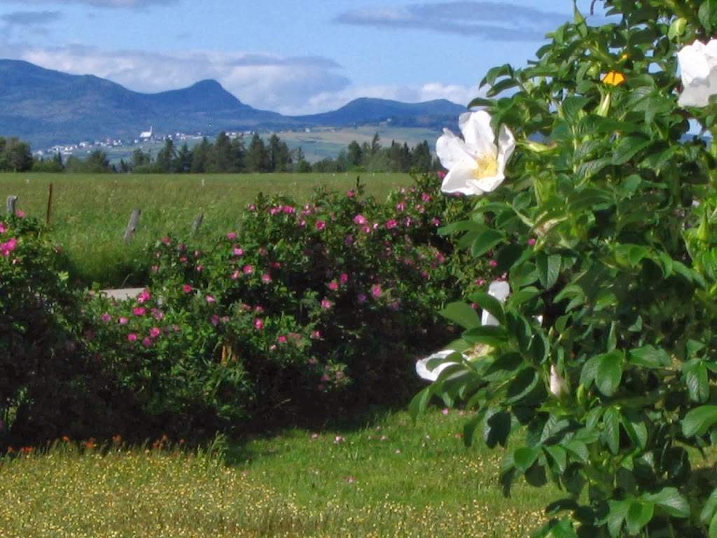 Auberge Les Eglantiers | 82 Chemin de la Baleine, La Baleine, QC G0A 2A0, Canada | Phone: (418) 438-2500