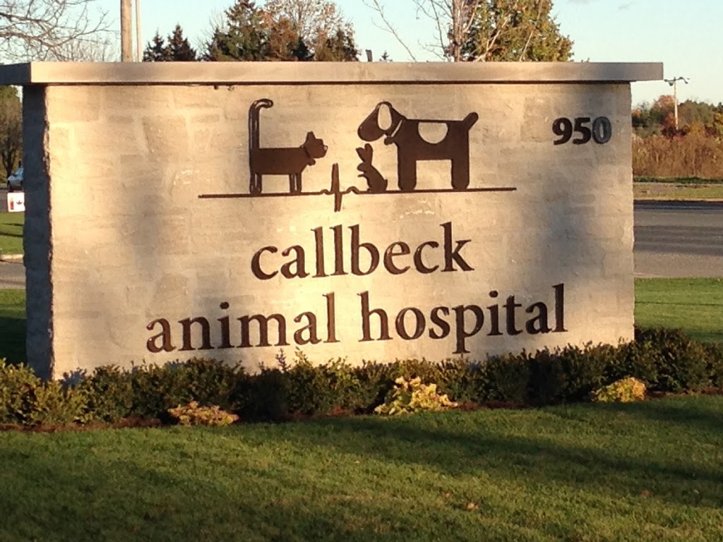 Callbeck Animal Hospital | 950 Taunton Rd E, Whitby, ON L1R 3L8, Canada | Phone: (905) 438-1144