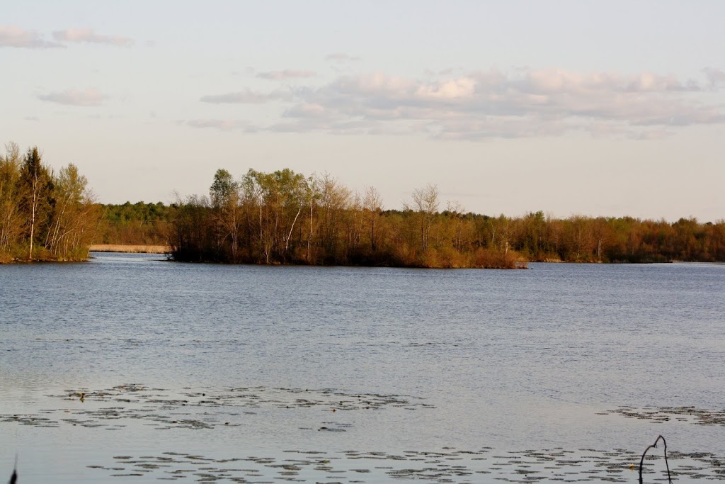 Lake Alice Wildlife Management Area | West Chazy, NY 12992, USA | Phone: (518) 897-1291