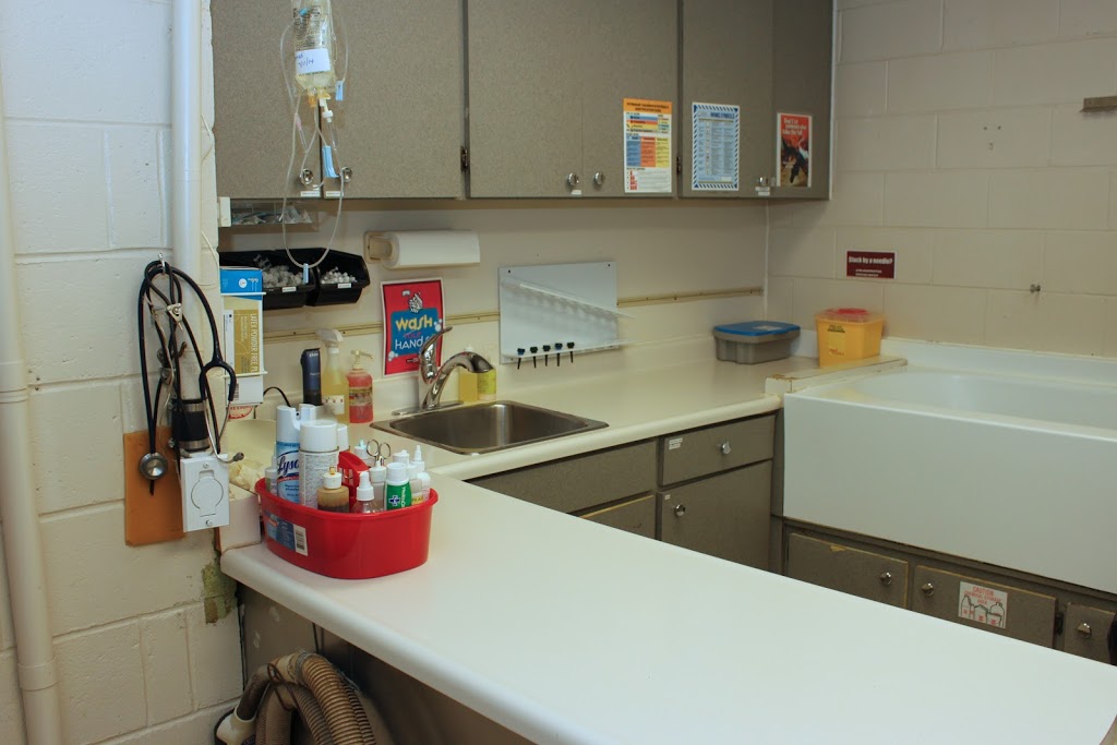 Clearwater Animal Hospital | 1117 Walker Rd, Windsor, ON N8Y 2N8, Canada | Phone: (519) 253-7204