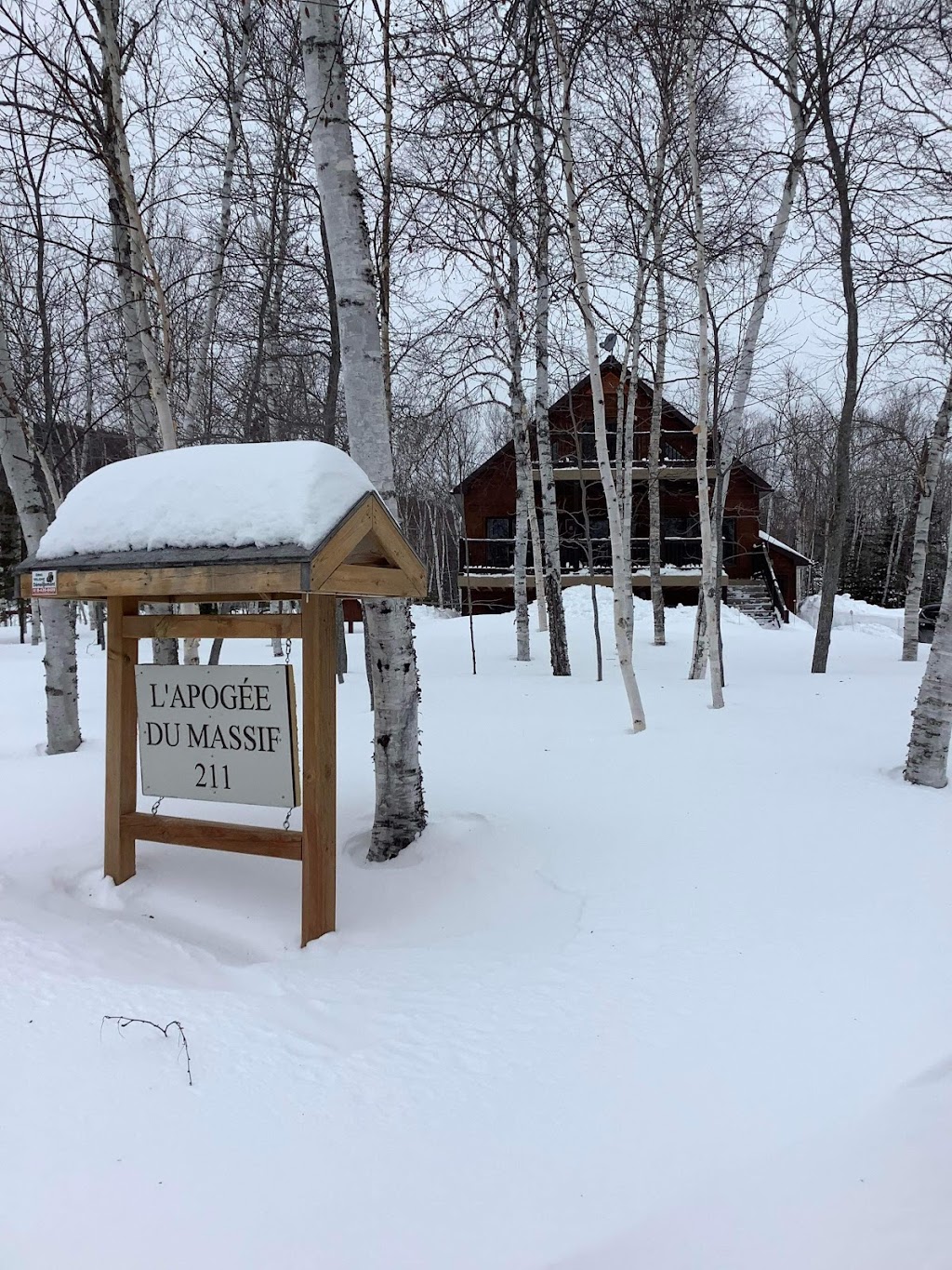 Les Apogées / LApogée du Massif | 211 Chem. de la Martine, Petite-Rivière-Saint-François, QC G0A 2L0, Canada | Phone: (418) 230-8580