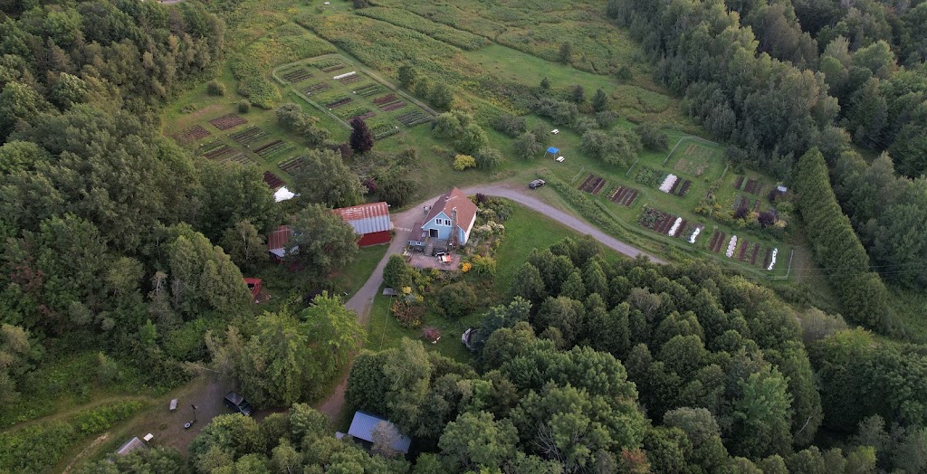 La ferme du chaos bienheureux | 215 Chem. de la Colline Bunker, Sainte-Catherine-de-Hatley, QC J0B 1W0, Canada | Phone: (514) 602-9752