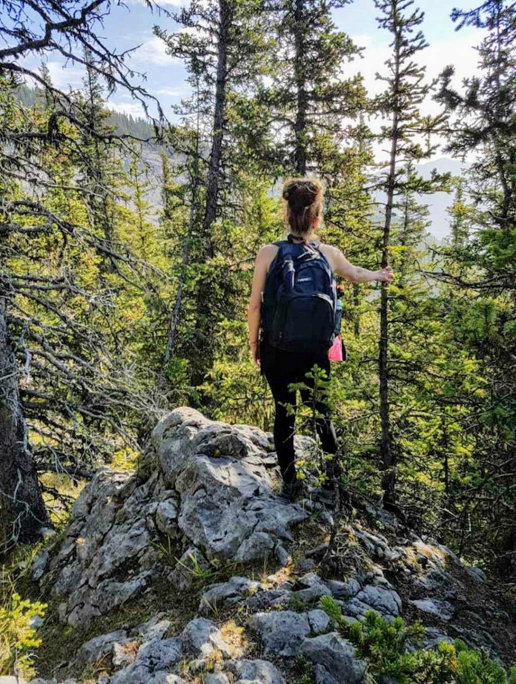 Coliseum Mountain Staging Area | Clearwater County, AB T0M 2H0, Canada | Phone: 310-0000